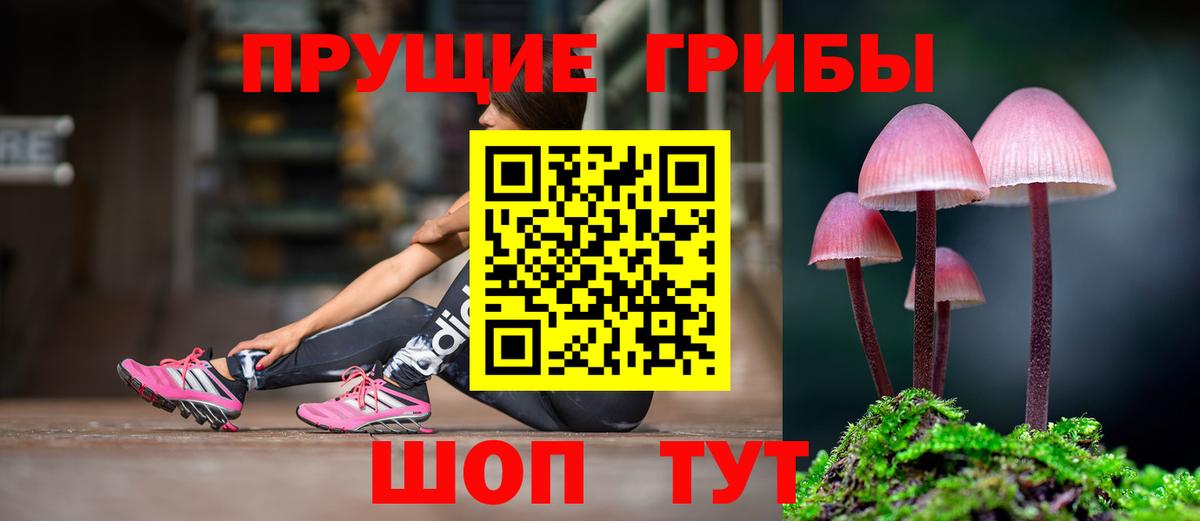 Псилоцибиновые грибы Psilocybine cubensis  Галлюциногенные грибы прущие грибы  Вход с VPN  Ступино 